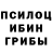 Псилоцибиновые грибы прущие грибы Johnson Lillie