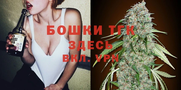 крисы Аркадак