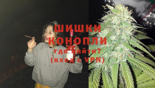 крисы Аркадак