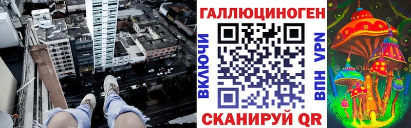Псилоцибиновые грибы прущие грибы  Терек 